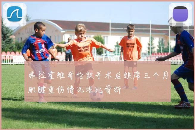 弗拉霍维奇伦敦手术后缺席三个月肌腱重伤情况堪比骨折