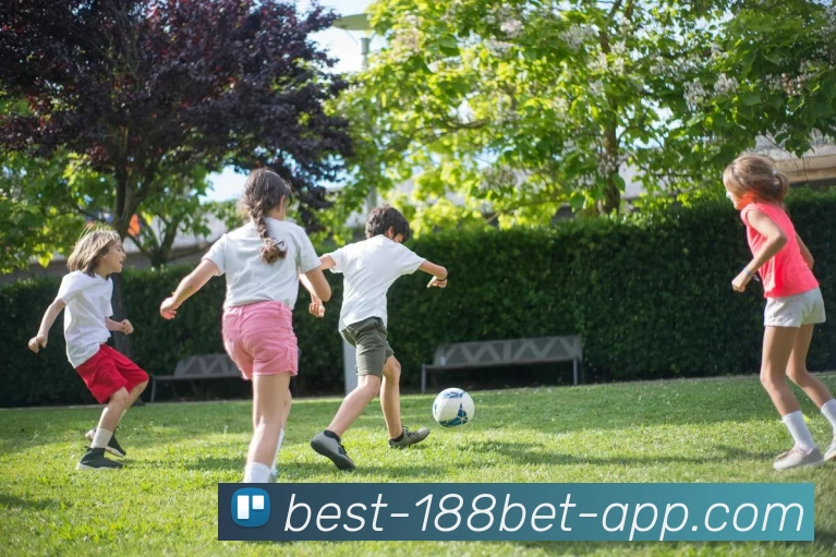 App Interface Preview